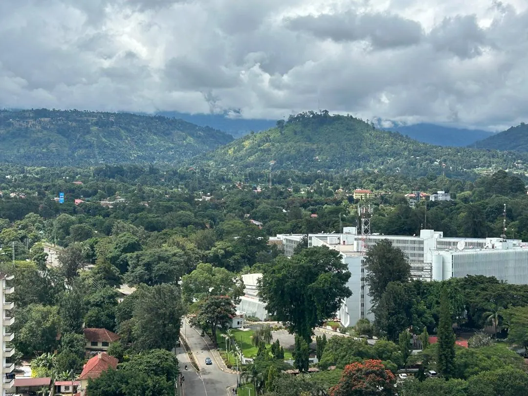 Arusha from a rooftop: tree-lined streets and low buildings with the green foothills of Mount Meru behind