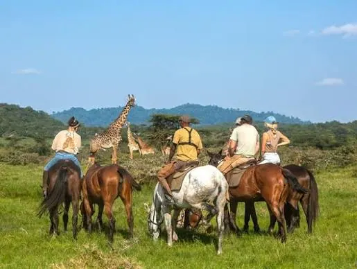Four riders on horseback watching giraffe browse among acacia below a forested ridge